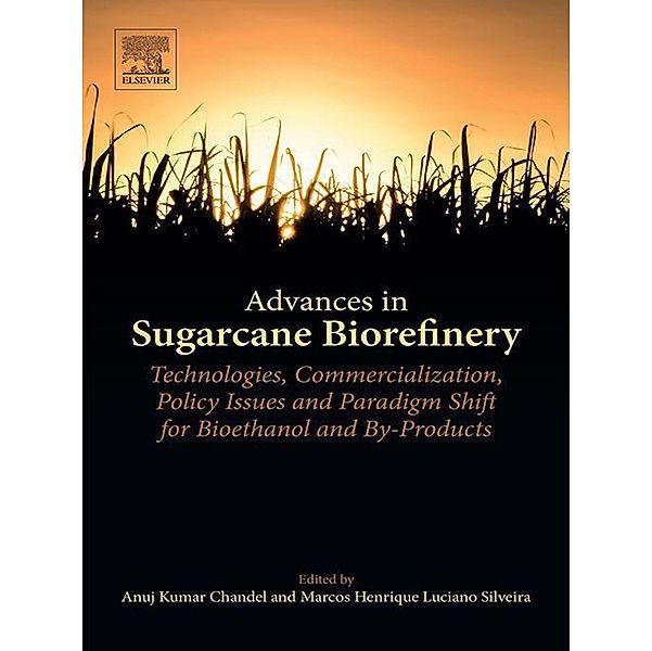 Advances in Sugarcane Biorefinery