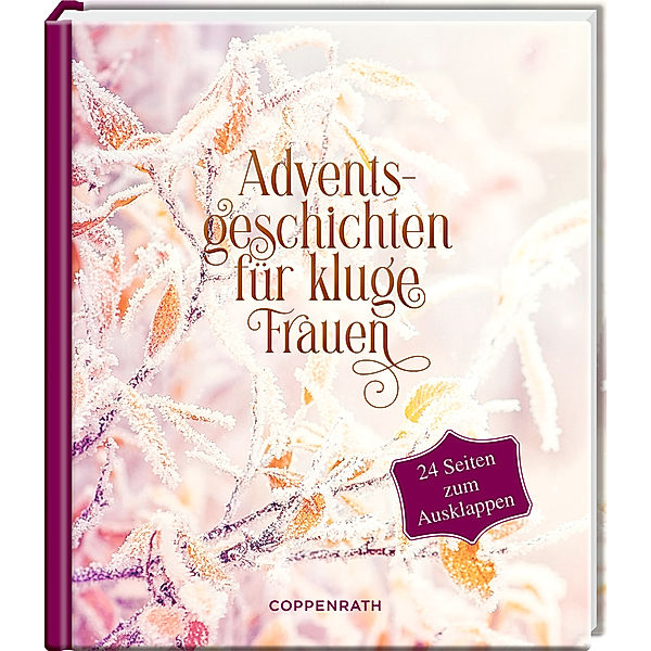 Adventskalenderbuch / Adventsgeschichten für kluge Frauen