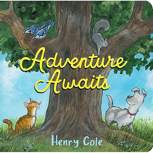 Adventure Awaits, Henry Cole