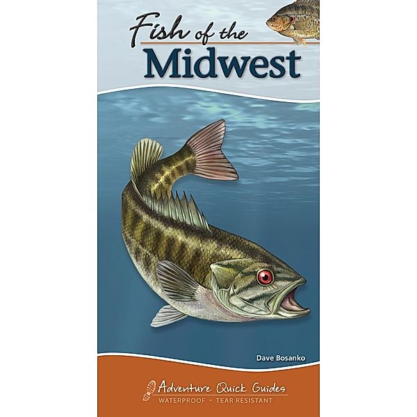 Adventure Publications: Fish of the Midwest, Dave Bosanko