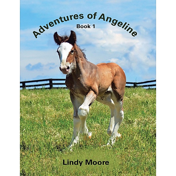 Adventures of Angeline: Book 1, Lindy Moore