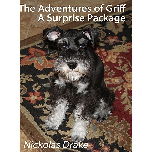 Adventures of Griff: A Surprise Package / Nickolas Drake, Nickolas Drake