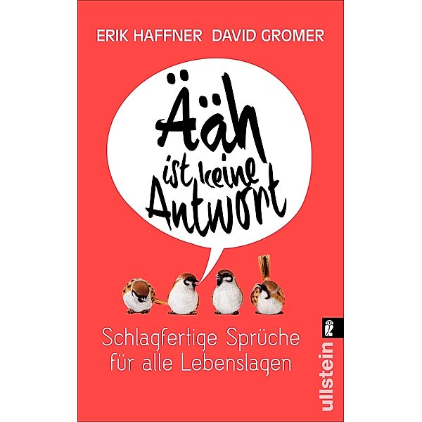 Ääh ist keine Antwort, Erik Haffner, David Gromer