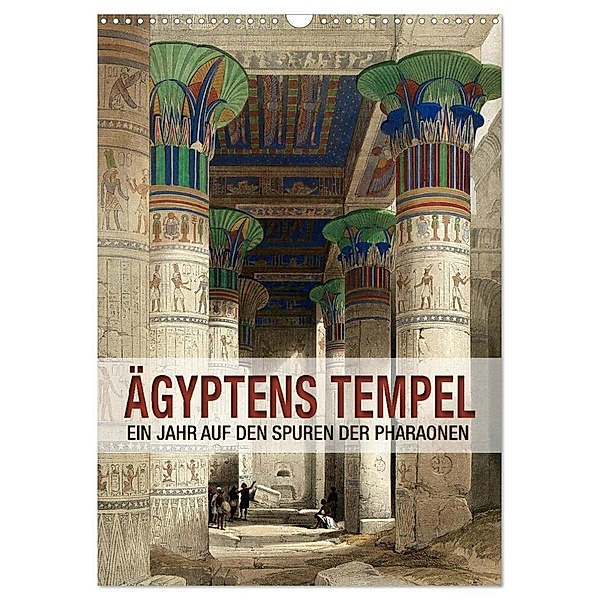Ägyptens Tempel (Wandkalender 2024 DIN A3 hoch), CALVENDO Monatskalender, Babette Reek