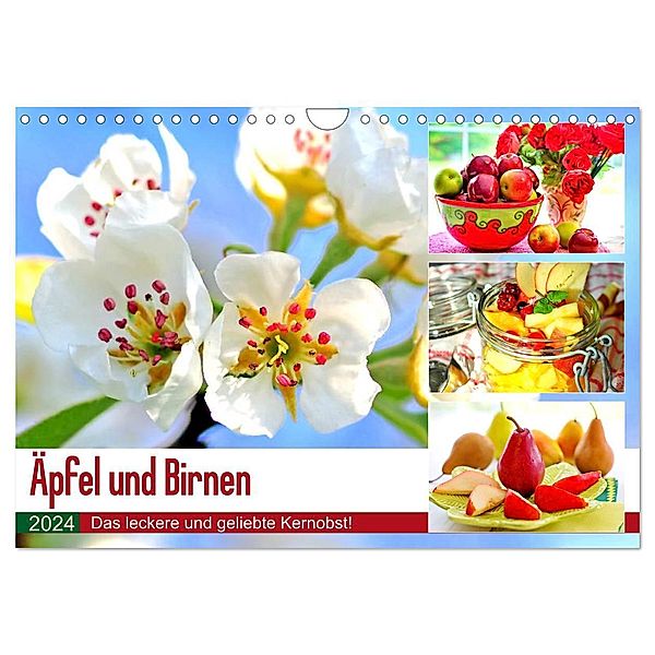 Äpfel und Birnen. Das leckere und geliebte Kernobst! (Wandkalender 2024 DIN A4 quer), CALVENDO Monatskalender, Rose Hurley