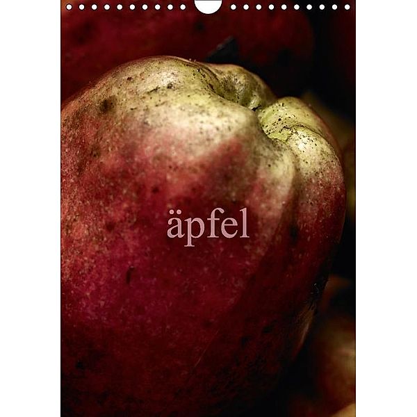 äpfel (Wandkalender 2017 DIN A4 hoch), arne morgenstern