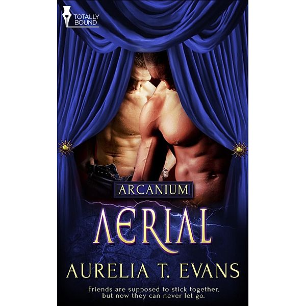 Aerial / Arcanium Bd.3, Aurelia T. Evans