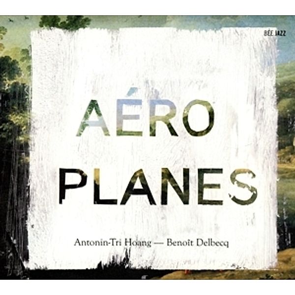 Aeroplanes, Antonin-Tri Hoang, Benoit Delbecq