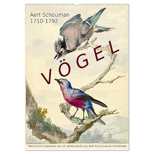 Aert Schouman. VÖGEL (Wandkalender 2024 DIN A2 hoch), CALVENDO Monatskalender, Jost Galle