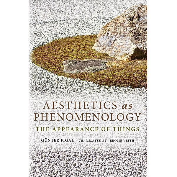 Aesthetics as Phenomenology / Studies in Continental Thought, Günter Figal