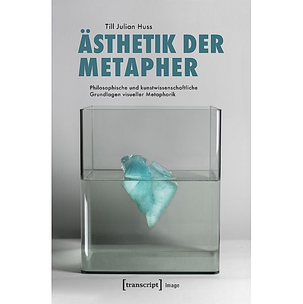 Ästhetik der Metapher / Image Bd.154, Till Julian Huss