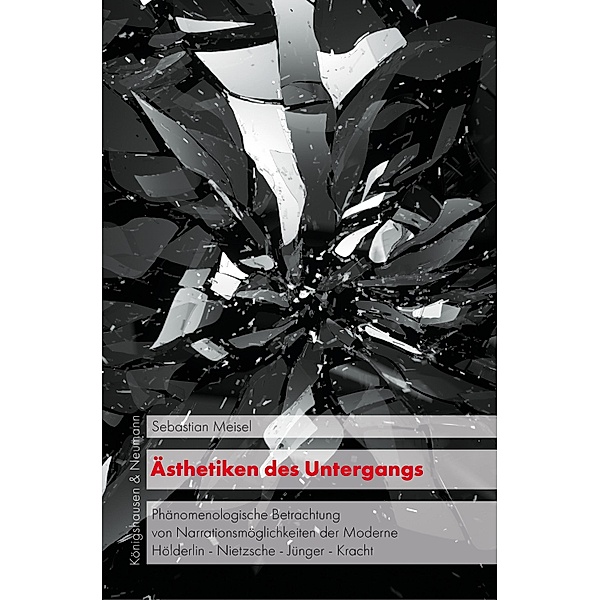Ästhetiken des Untergangs / KONNEX, Studien im Schnittbereich von Literatur, Kultur und Natur Bd.32, Sebastian Meisel