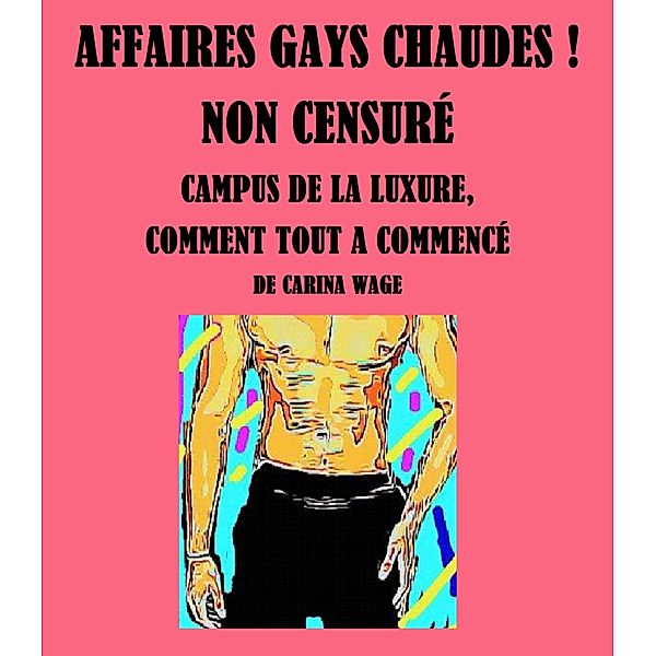 Affaires gays chaudes ! Non censuré, Carina Wage