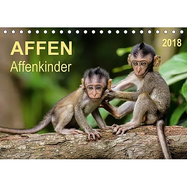 Affen - Affenkinder (Tischkalender 2018 DIN A5 quer), Peter Roder