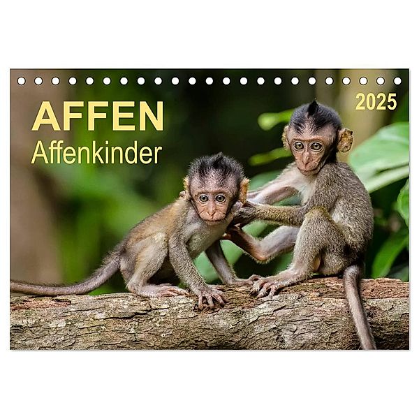 Affen - Affenkinder (Tischkalender 2025 DIN A5 quer), CALVENDO Monatskalender, Calvendo, Peter Roder