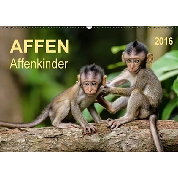 Affen - Affenkinder (Wandkalender 2016 DIN A2 quer), Peter Roder