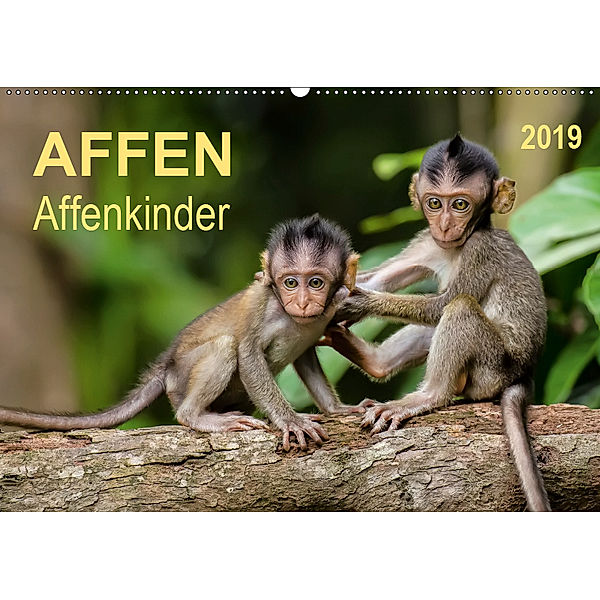 Affen - Affenkinder (Wandkalender 2019 DIN A2 quer), Peter Roder
