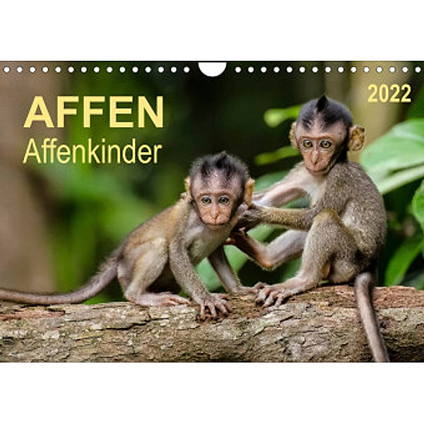 Affen - Affenkinder (Wandkalender 2022 DIN A4 quer), Peter Roder