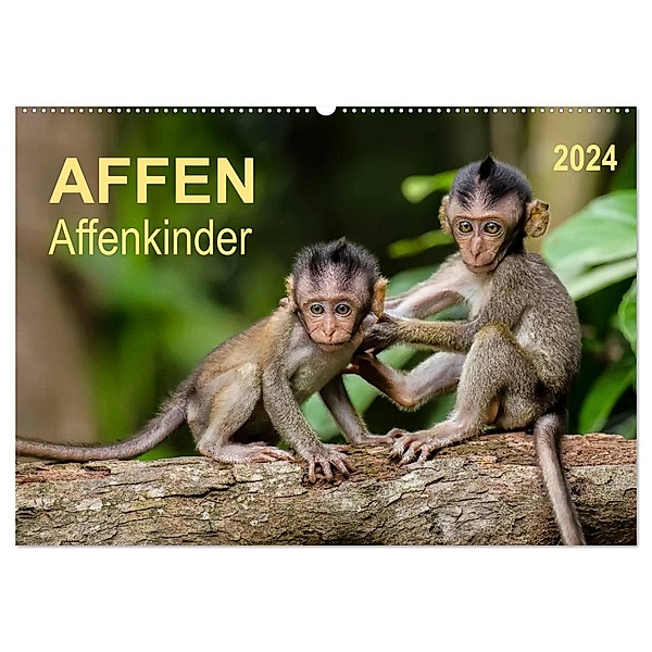 Affen - Affenkinder (Wandkalender 2024 DIN A2 quer), CALVENDO Monatskalender, Peter Roder