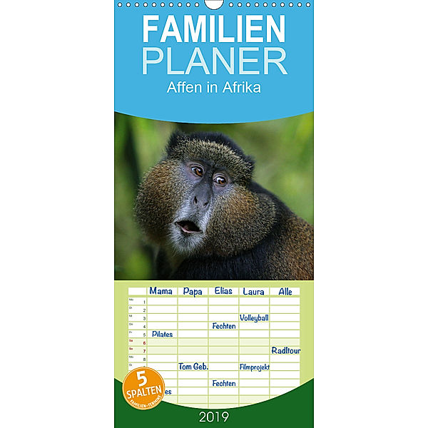Affen in Afrika - Familienplaner hoch (Wandkalender 2019 , 21 cm x 45 cm, hoch), Michael Herzog