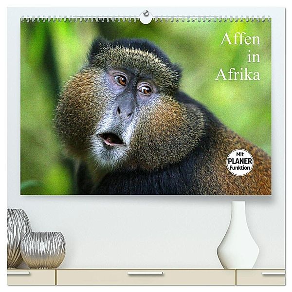 Affen in Afrika (hochwertiger Premium Wandkalender 2024 DIN A2 quer), Kunstdruck in Hochglanz, Michael Herzog