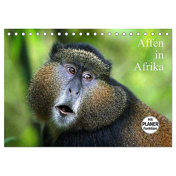 Affen in Afrika (Tischkalender 2024 DIN A5 quer), CALVENDO Monatskalender, Michael Herzog