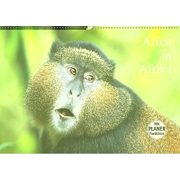 Affen in Afrika (Wandkalender 2018 DIN A2 quer), Michael Herzog