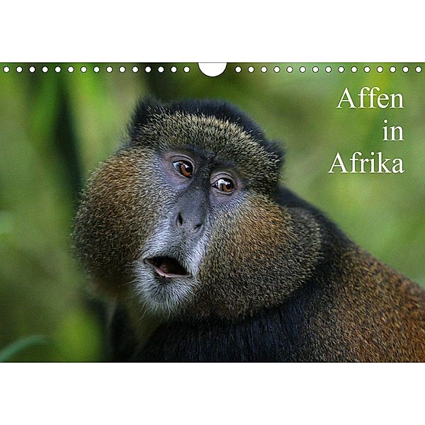 Affen in Afrika (Wandkalender 2021 DIN A4 quer), Michael Herzog