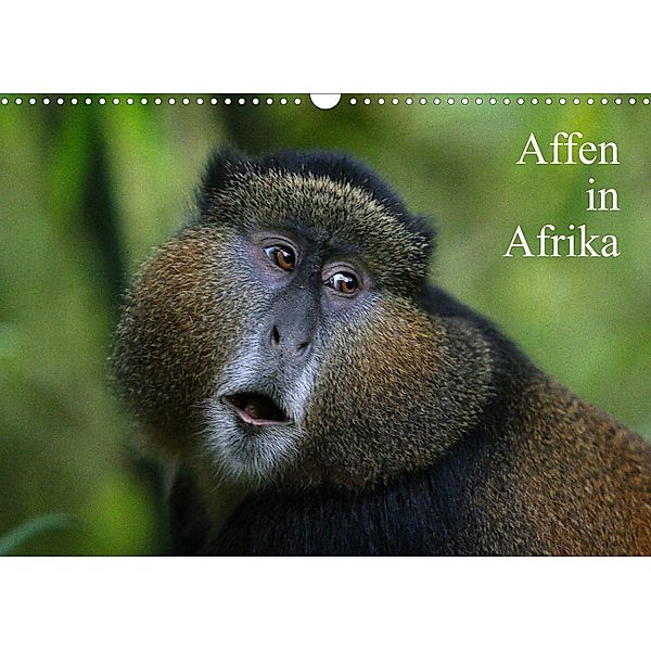 Affen in Afrika (Wandkalender 2023 DIN A3 quer), Michael Herzog