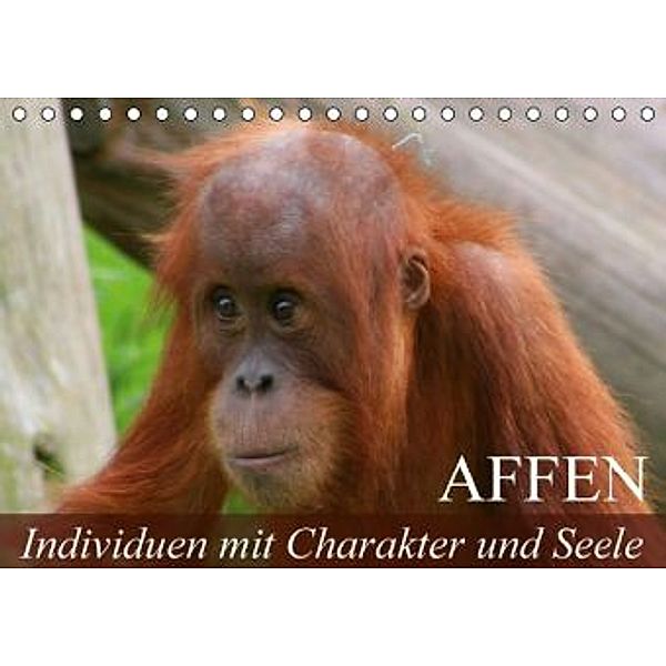 Affen - Individuen mit Charakter und Seele (Tischkalender 2016 DIN A5 quer), Elisabeth Stanzer