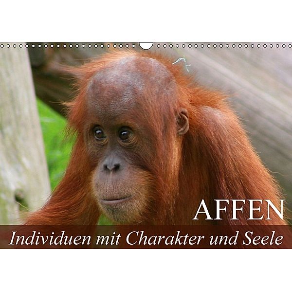 Affen - Individuen mit Charakter und Seele (Wandkalender 2018 DIN A3 quer), Elisabeth Stanzer