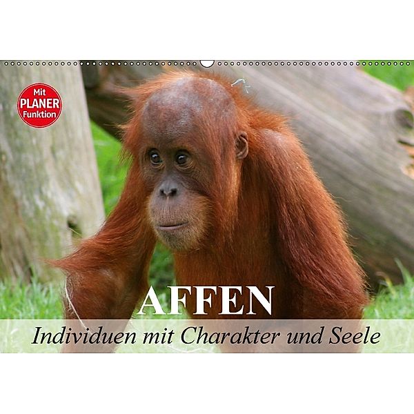 Affen - Individuen mit Charakter und Seele (Wandkalender 2018 DIN A2 quer), Elisabeth Stanzer