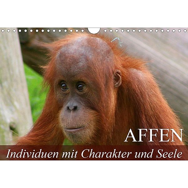 Affen - Individuen mit Charakter und Seele (Wandkalender 2021 DIN A4 quer), Elisabeth Stanzer