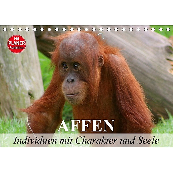 Affen - Individuen mit Charakter und Seele (Tischkalender 2020 DIN A5 quer), Elisabeth Stanzer