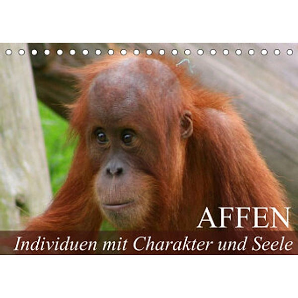 Affen - Individuen mit Charakter und Seele (Tischkalender 2022 DIN A5 quer), Elisabeth Stanzer