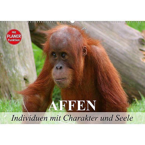 Affen - Individuen mit Charakter und Seele (Wandkalender 2023 DIN A2 quer), Elisabeth Stanzer