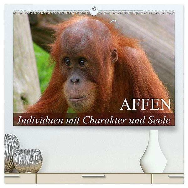 Affen - Individuen mit Charakter und Seele (hochwertiger Premium Wandkalender 2024 DIN A2 quer), Kunstdruck in Hochglanz, Elisabeth Stanzer