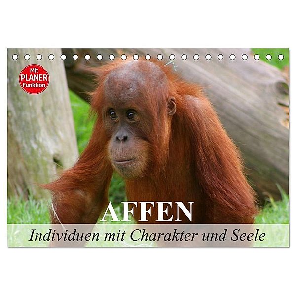 Affen - Individuen mit Charakter und Seele (Tischkalender 2024 DIN A5 quer), CALVENDO Monatskalender, Elisabeth Stanzer