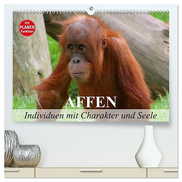 Affen - Individuen mit Charakter und Seele (hochwertiger Premium Wandkalender 2024 DIN A2 quer), Kunstdruck in Hochglanz, Elisabeth Stanzer