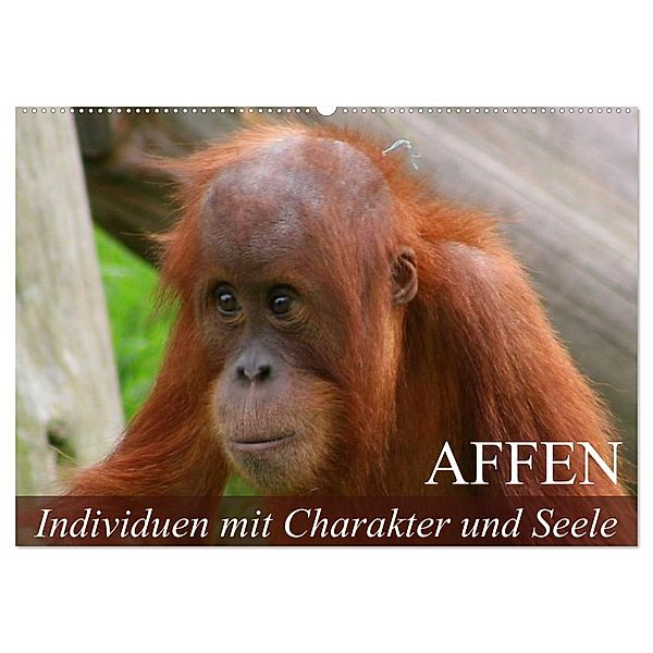 Affen - Individuen mit Charakter und Seele (Wandkalender 2025 DIN A2 quer), CALVENDO Monatskalender, Calvendo, Elisabeth Stanzer