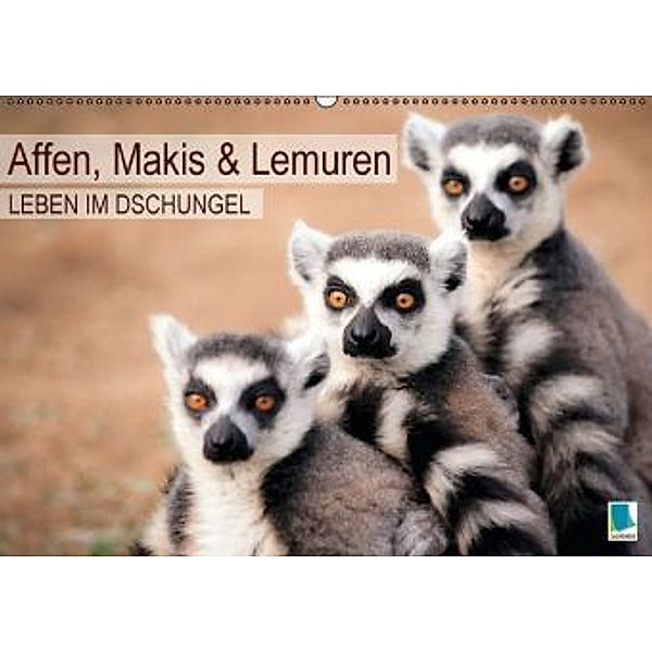 Affen, Makis und Lemuren - Leben im Dschungel (Wandkalender 2016 DIN A2 quer), Calvendo