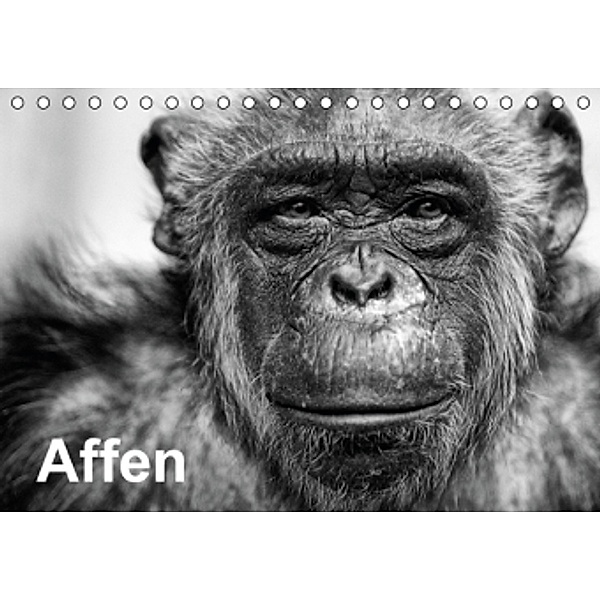 Affen (Tischkalender 2016 DIN A5 quer), Peter Becker