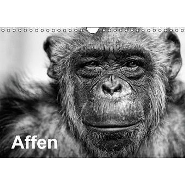 Affen (Wandkalender 2015 DIN A4 quer), Peter Becker