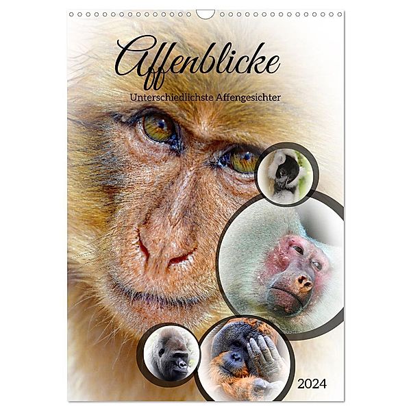 Affenblicke (Wandkalender 2024 DIN A3 hoch), CALVENDO Monatskalender, Claudia Kleemann