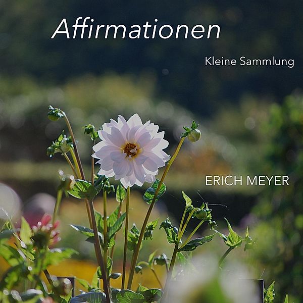 Affirmationen - Kleine Sammlung, Erich Meyer