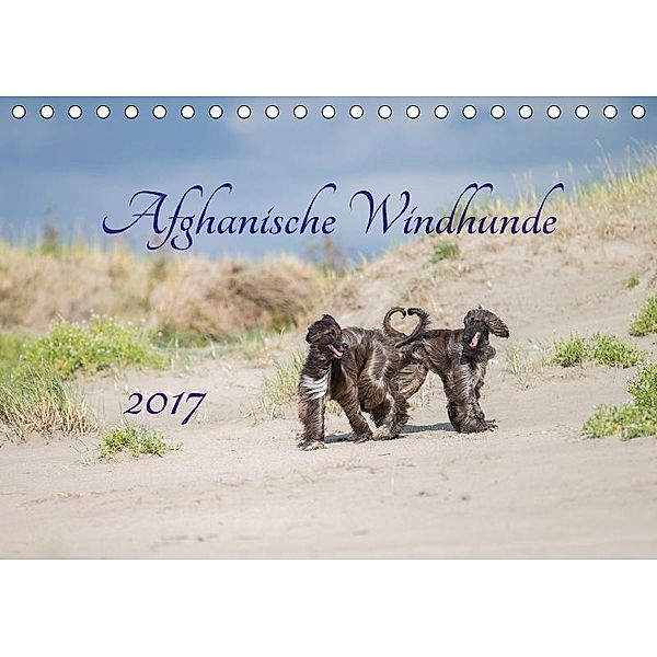 AFGHANISCHE WINDHUNDE 2017 (Tischkalender 2017 DIN A5 quer), Annett Mirsberger