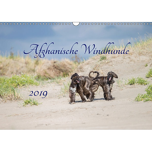 AFGHANISCHE WINDHUNDE 2019 (Wandkalender 2019 DIN A3 quer), Annett Mirsberger