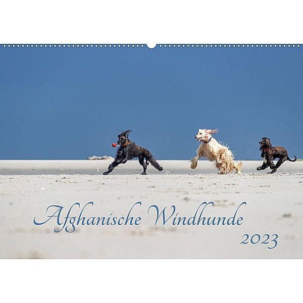 AFGHANISCHE WINDHUNDE 2023 (Wandkalender 2023 DIN A2 quer), Annett Mirsberger annettmirsberger.de