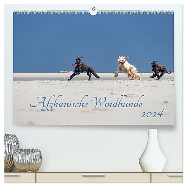 AFGHANISCHE WINDHUNDE 2024 (hochwertiger Premium Wandkalender 2024 DIN A2 quer), Kunstdruck in Hochglanz, Annett Mirsberger annettmirsberger.de