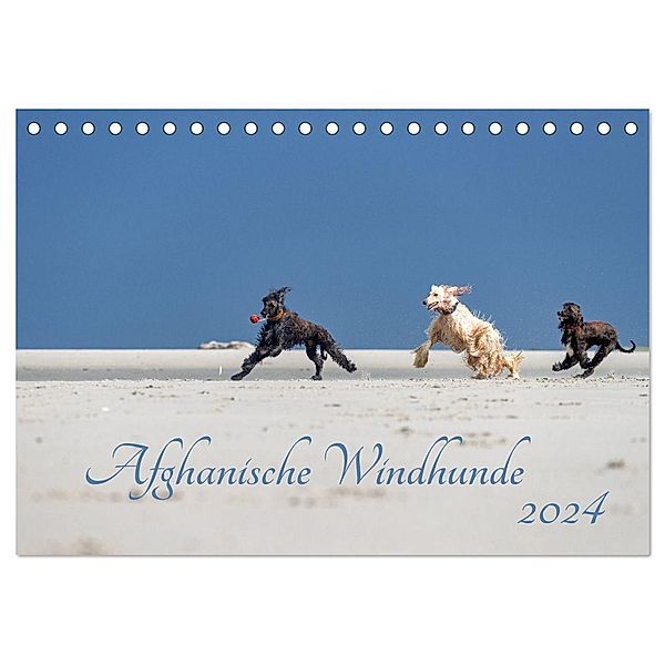 AFGHANISCHE WINDHUNDE 2024 (Tischkalender 2024 DIN A5 quer), CALVENDO Monatskalender, Annett Mirsberger annettmirsberger.de